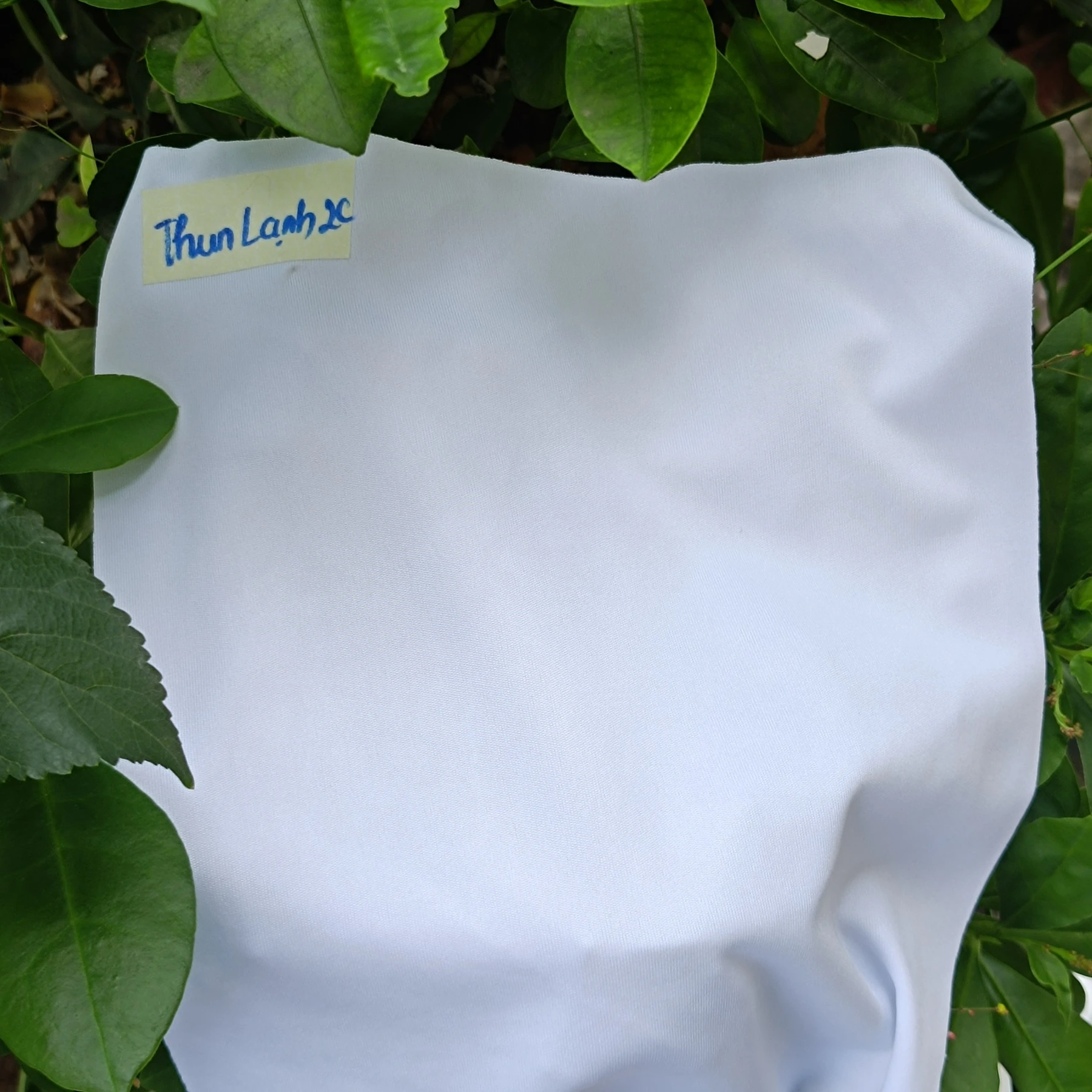 A01 fabric