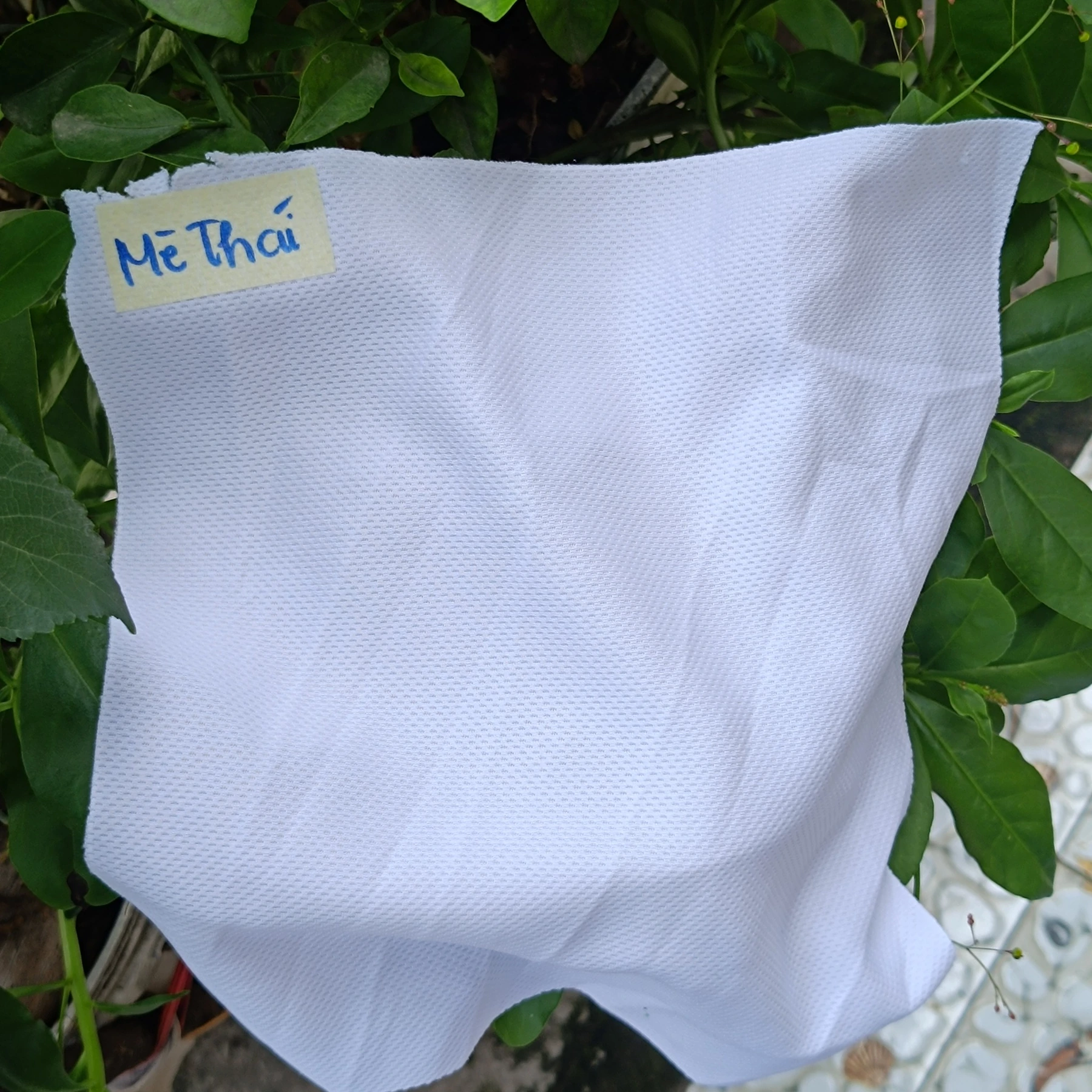 A02 fabric