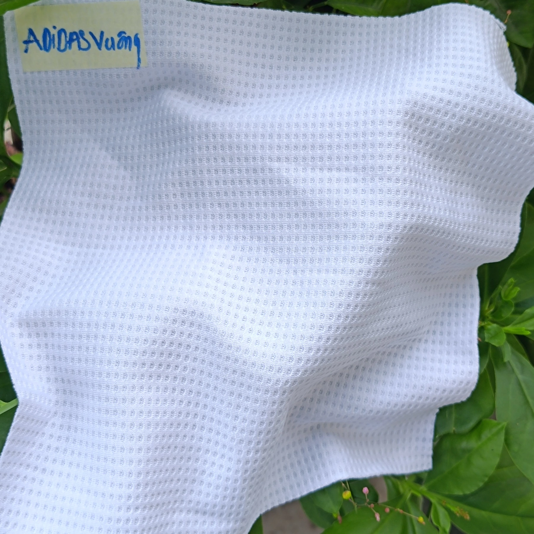 B01 fabric