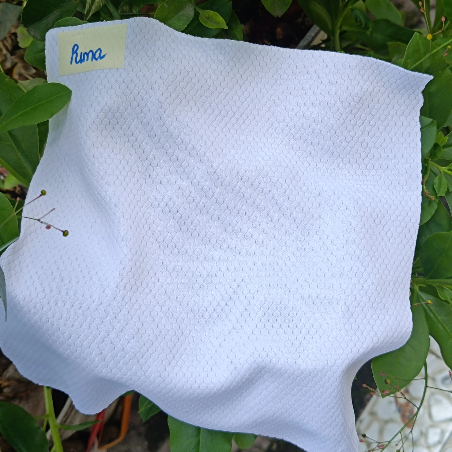 B02 fabric
