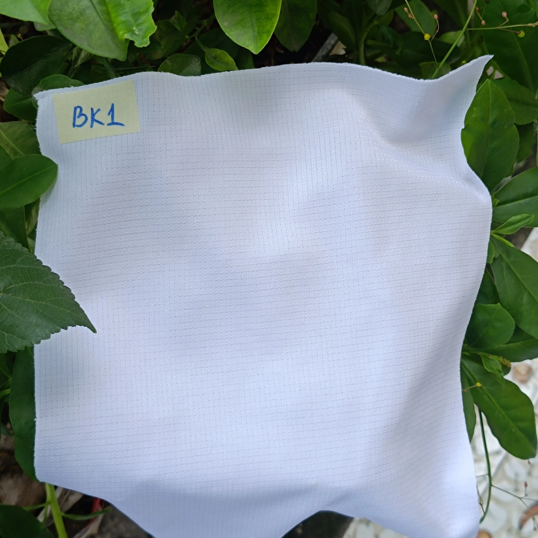 B05 fabric