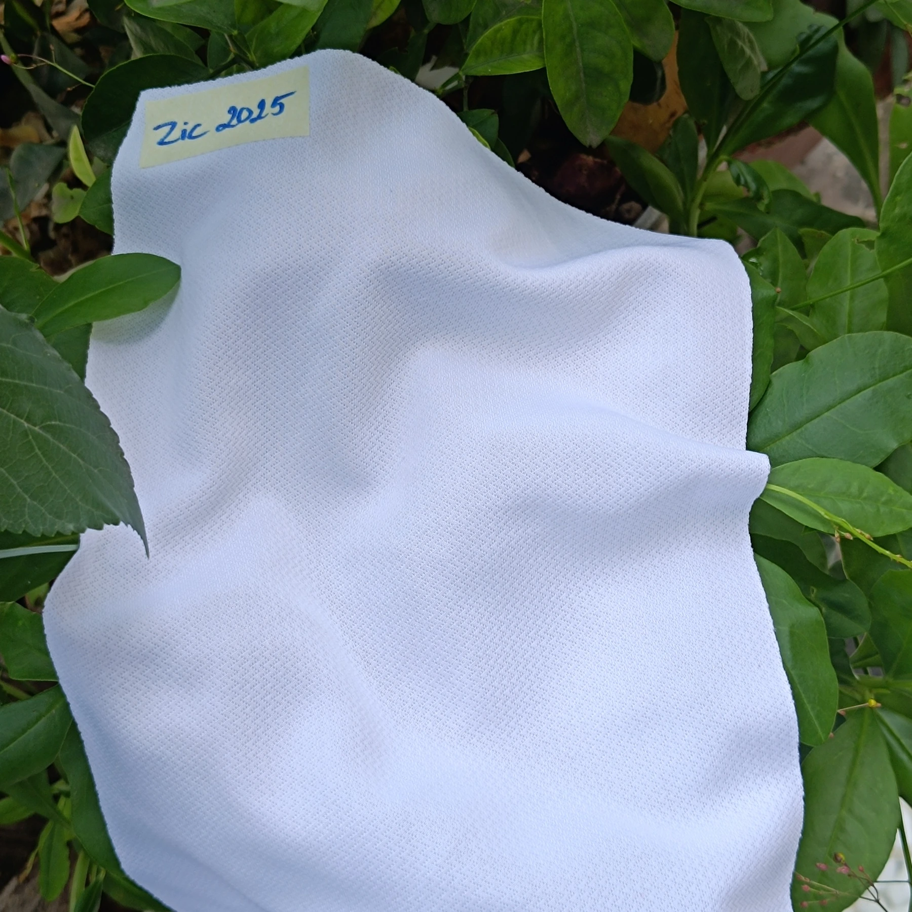 C01 fabric