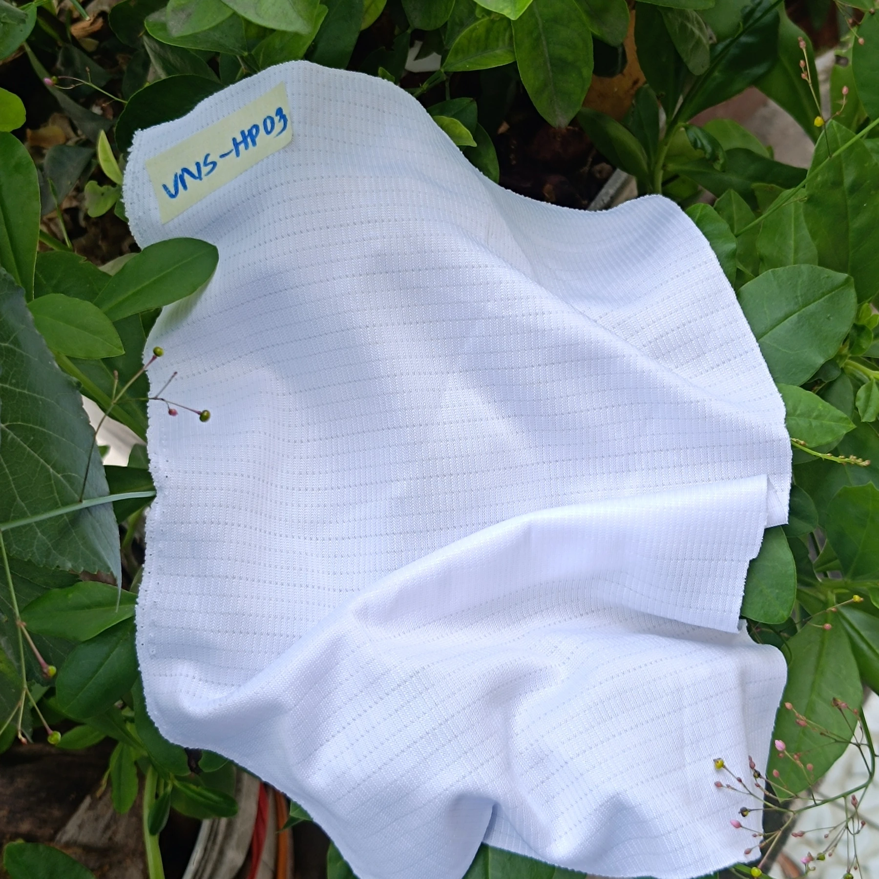 C09 fabric