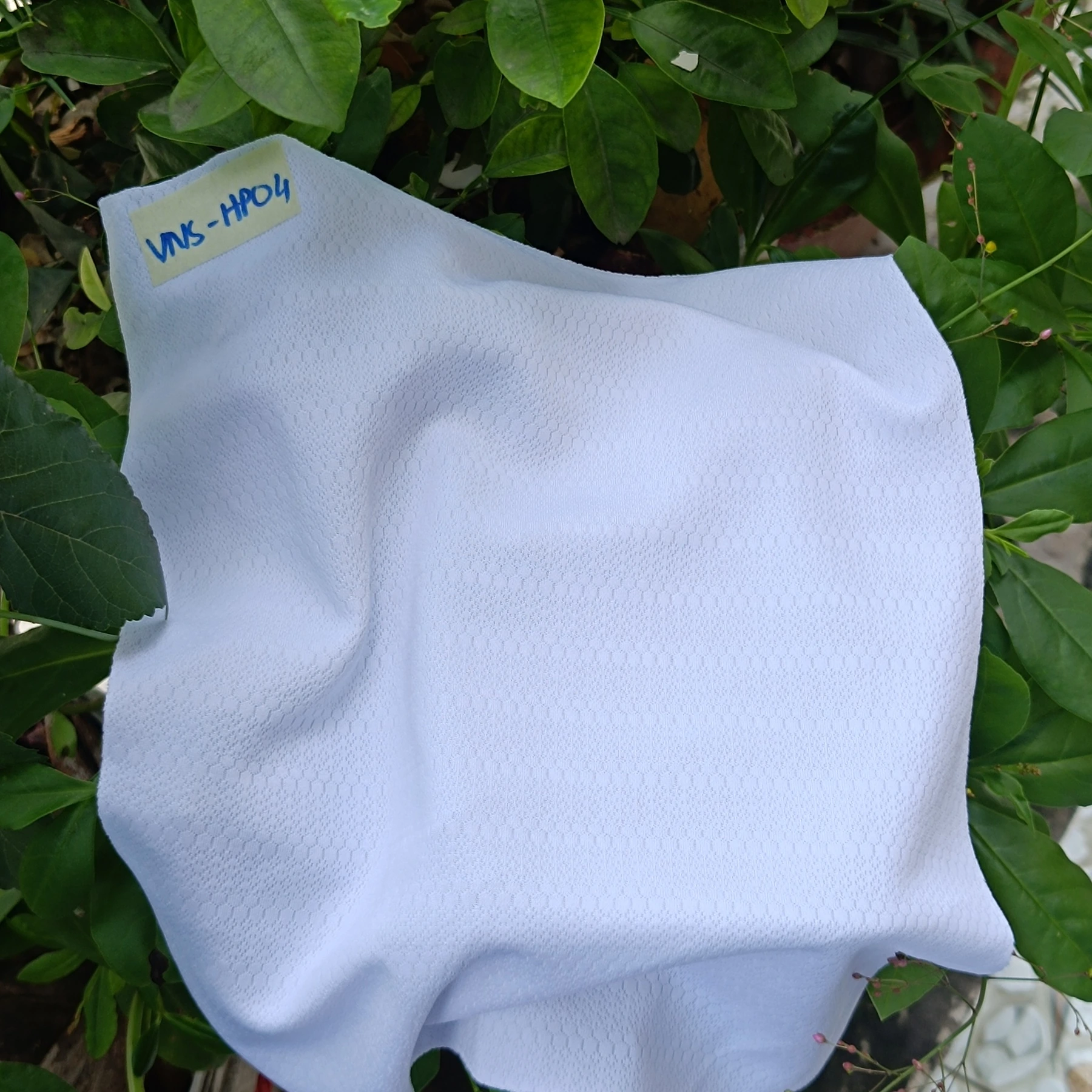 C10 fabric
