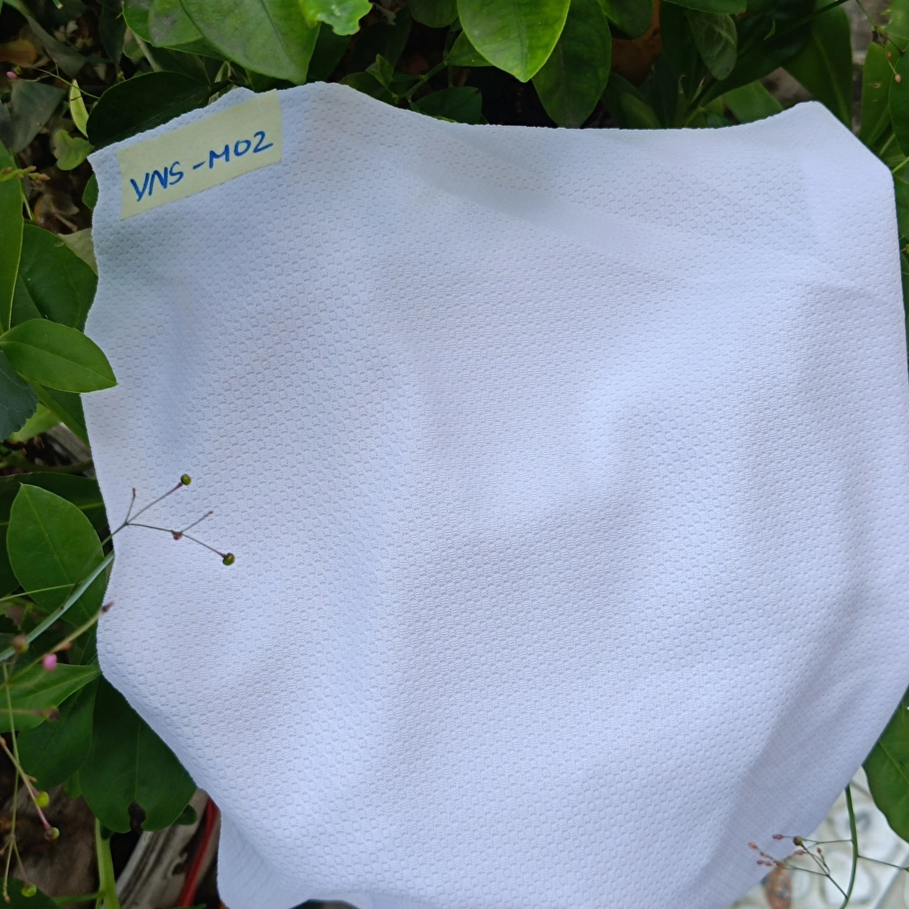 C11 fabric