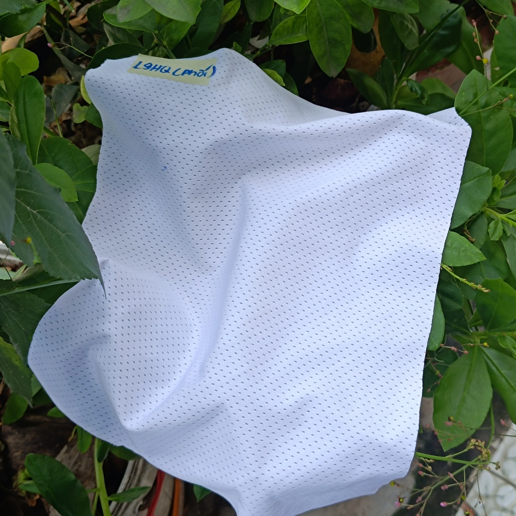 D01 fabric