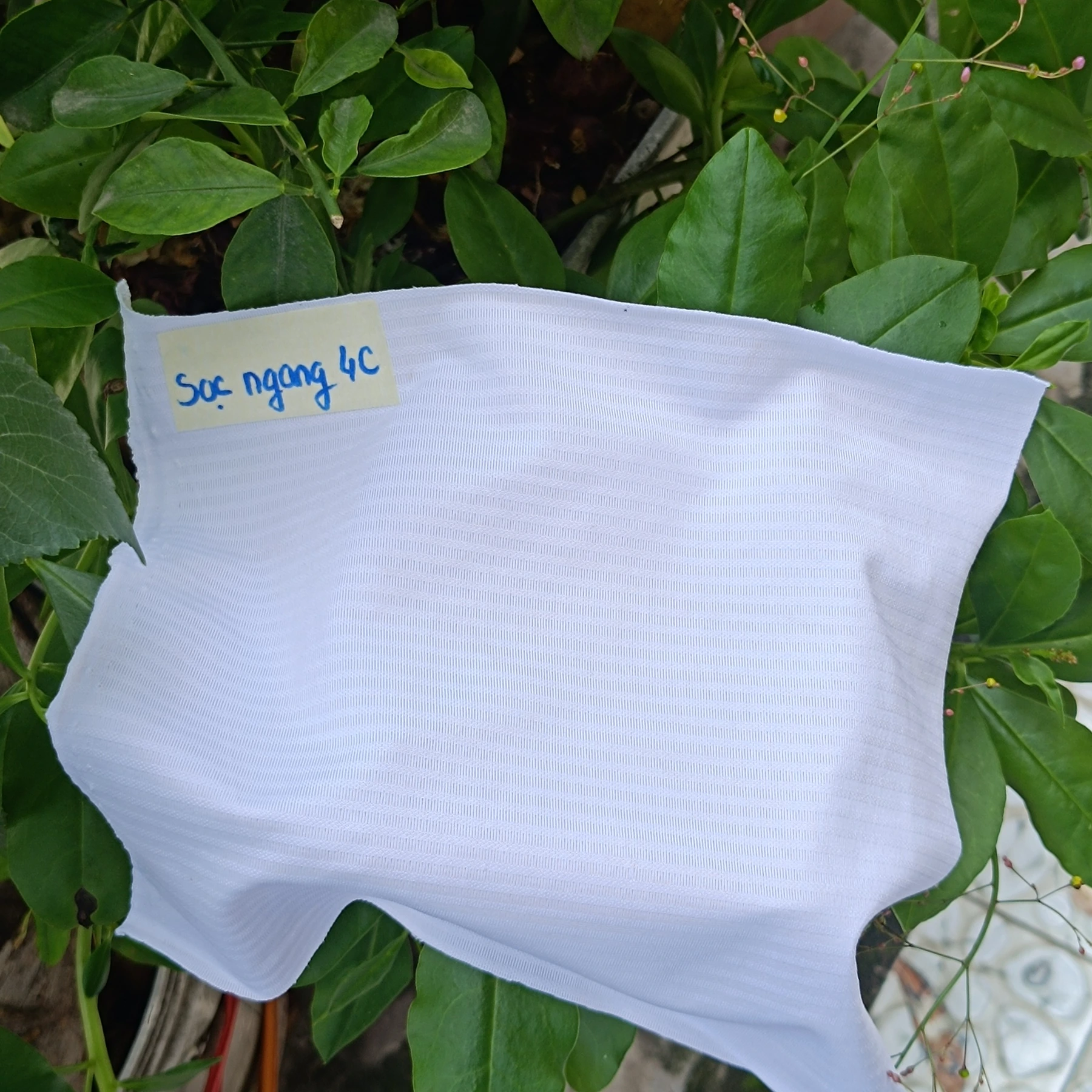 D03 fabric
