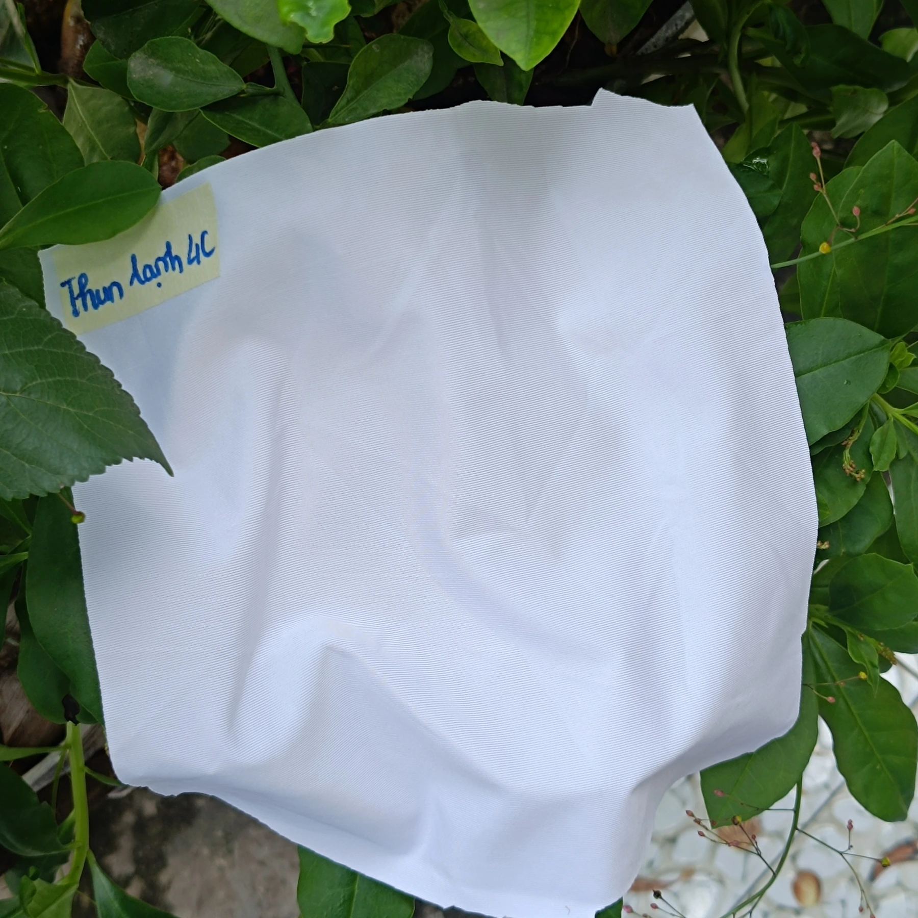D04 fabric