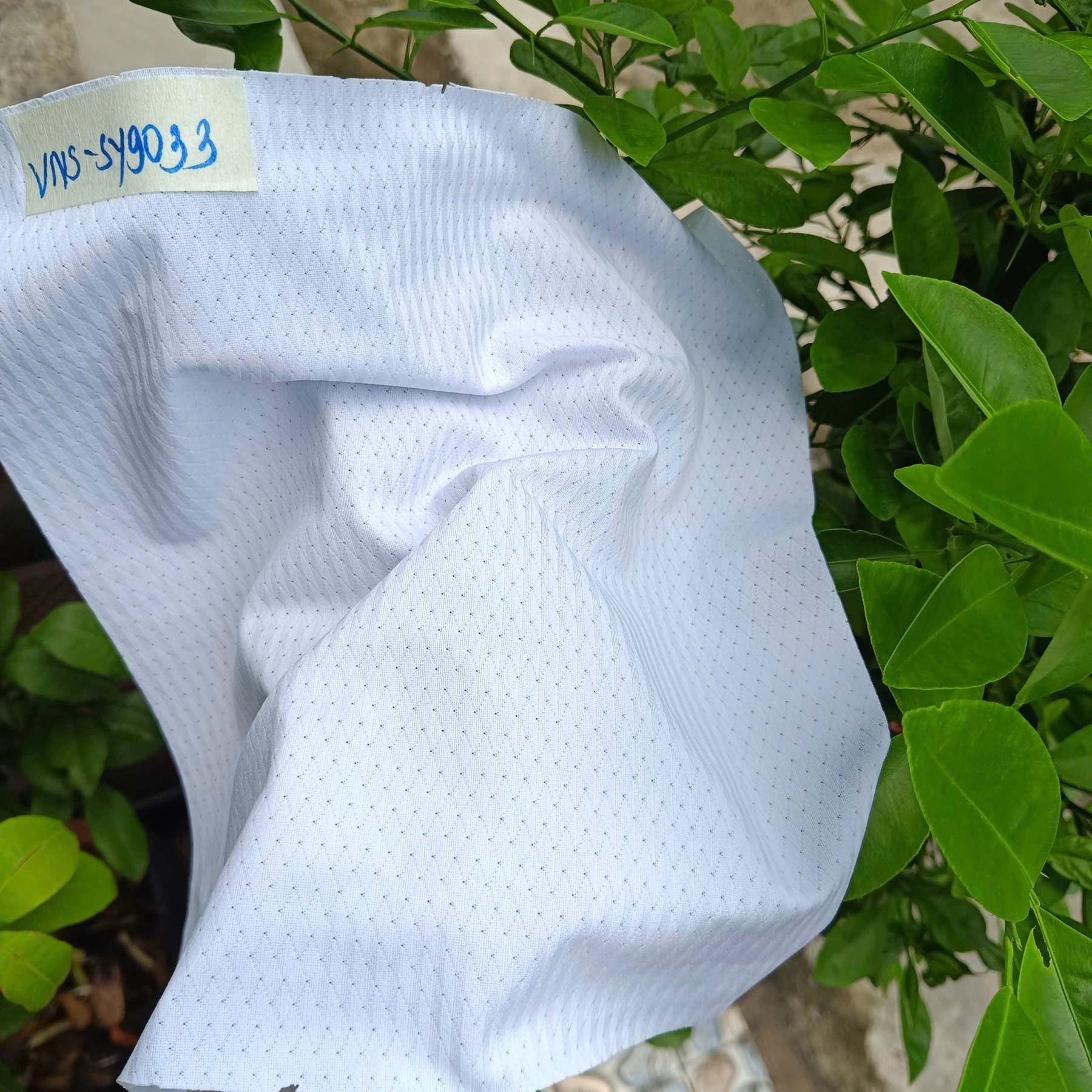 F09 fabric